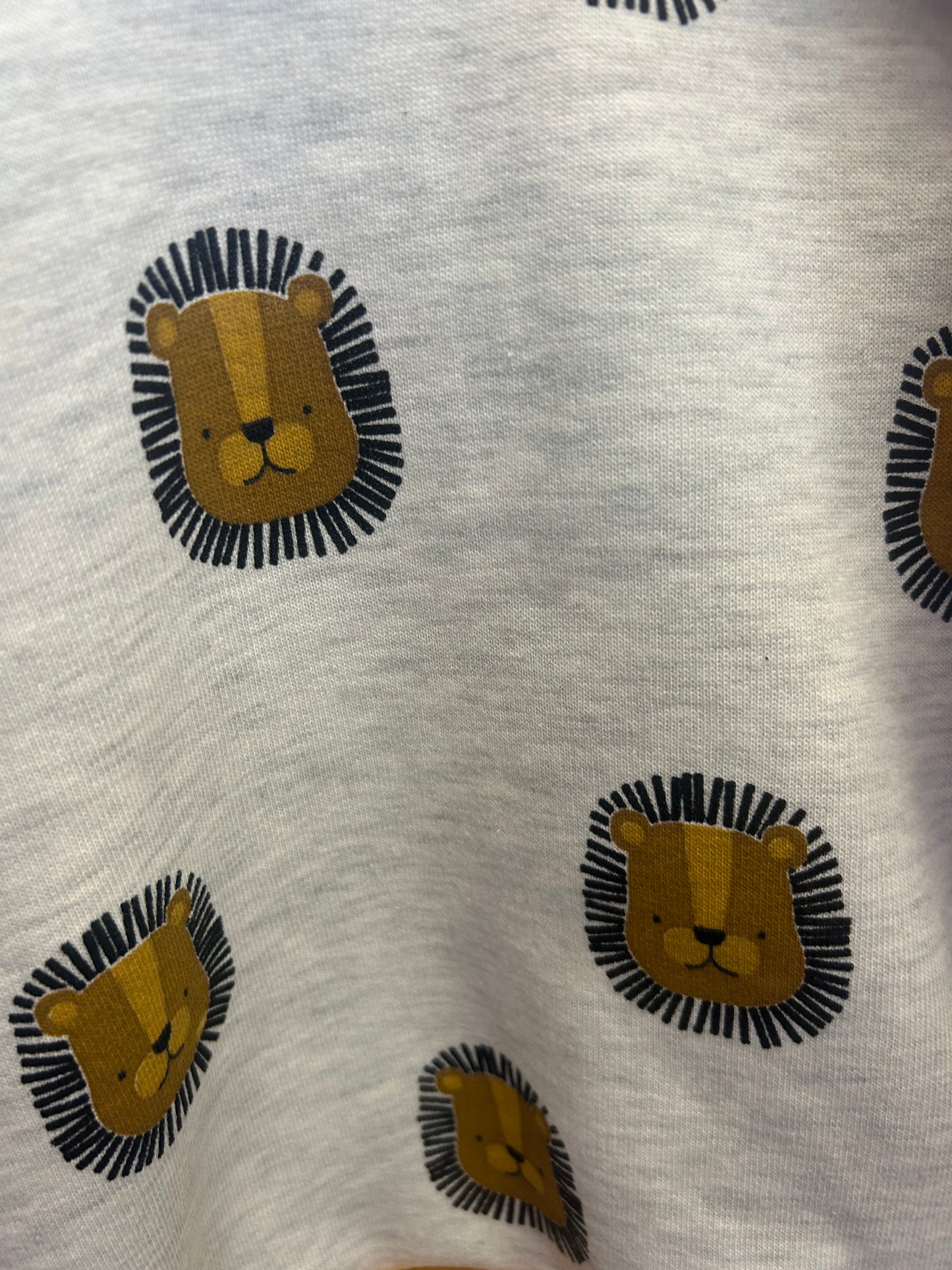 Leo Lion Baby & Children's Sweater