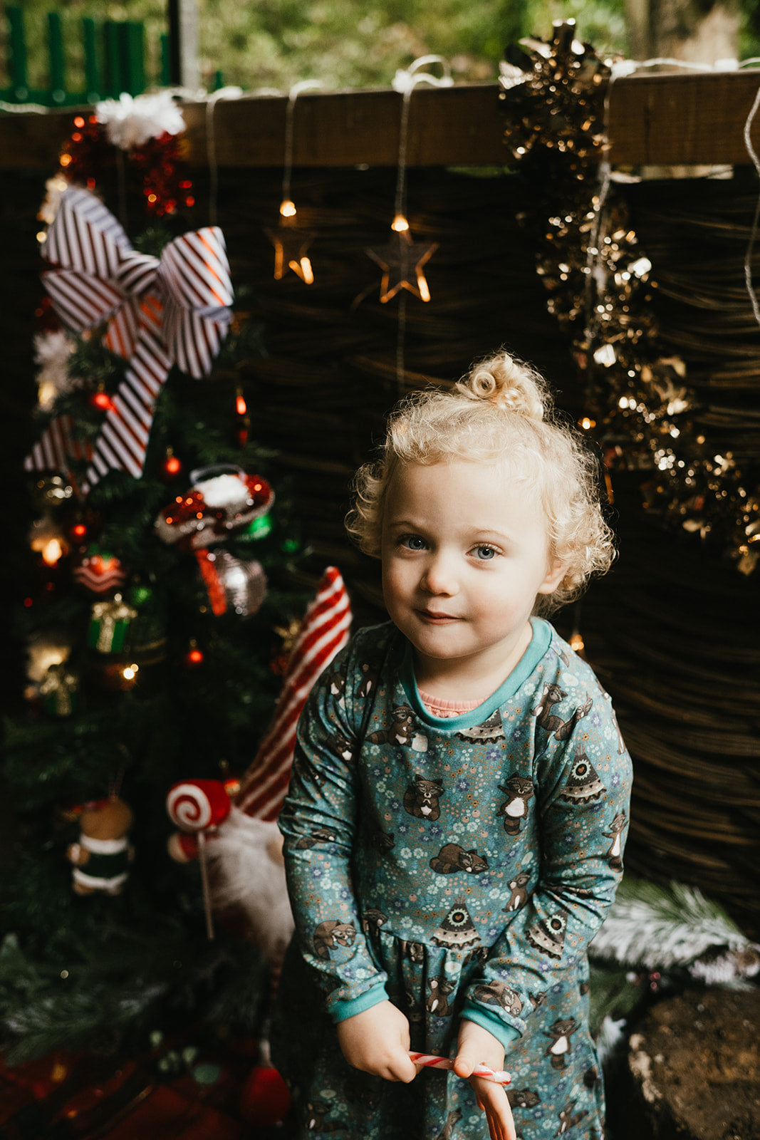 Enchanted Forest Christmas Baby & Toddler Jersey Dress