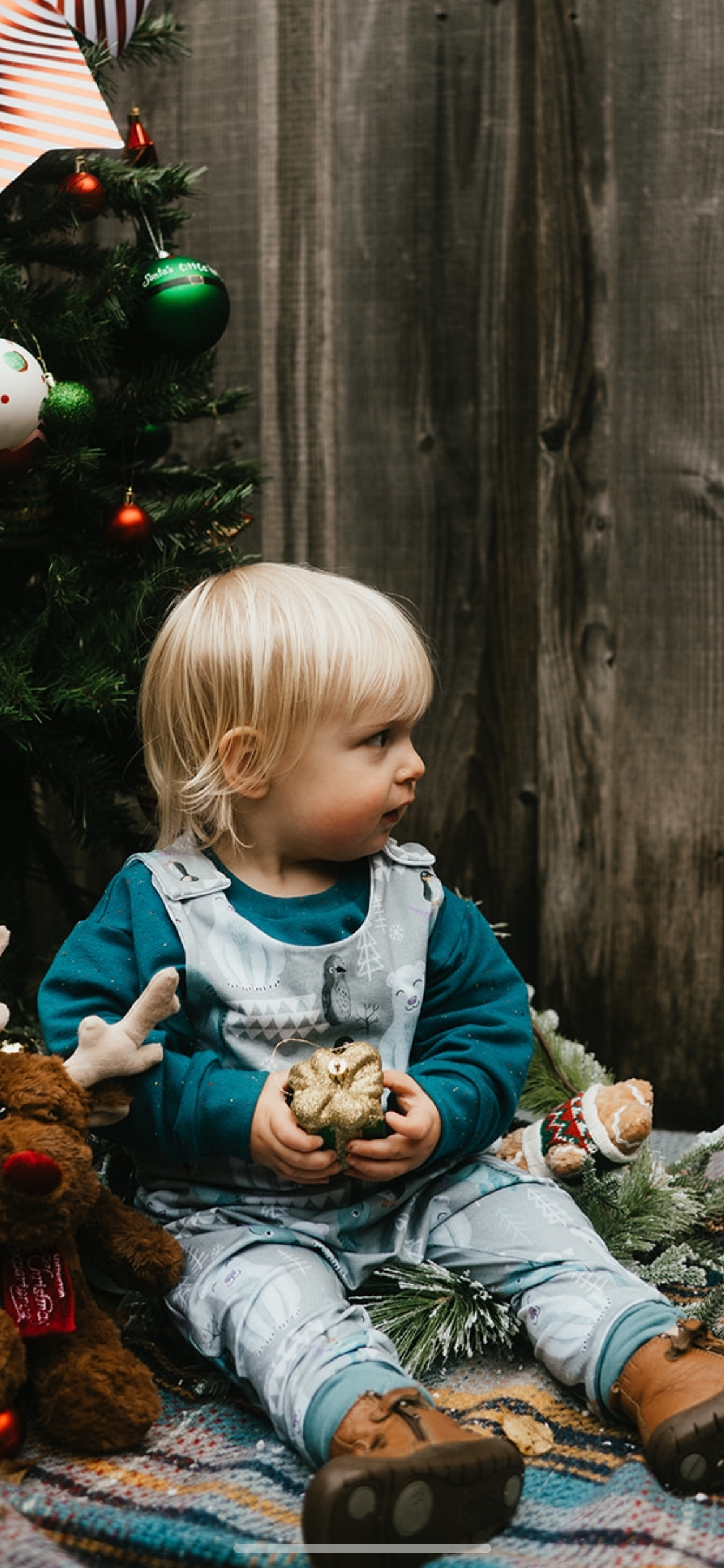 Arctic Animals Baby & Toddler Jersey Romper