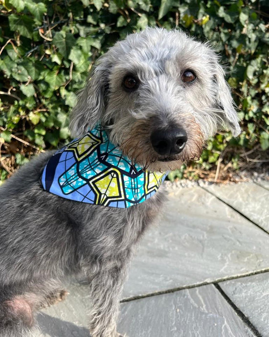 Load image into Gallery viewer, Sale Special &amp;#39;Lucky Dip&amp;#39; Pet Bandana
